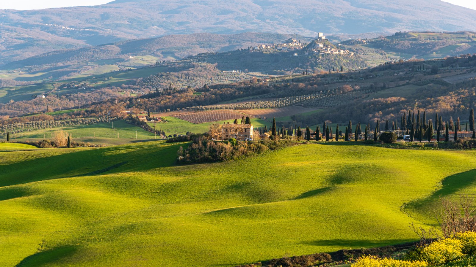 Montepulciano and Pienza wine loop