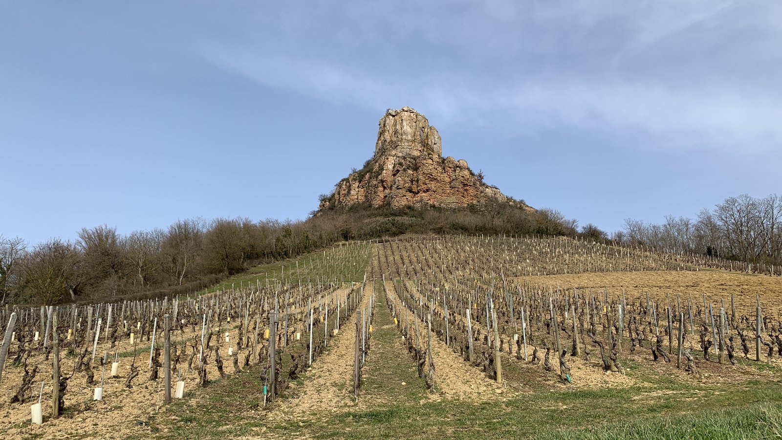 Mâcon-Lugny vineyard in the Maconnais
