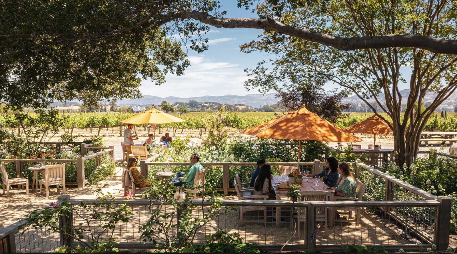 Saintsbury Carneros AVA pinot estate