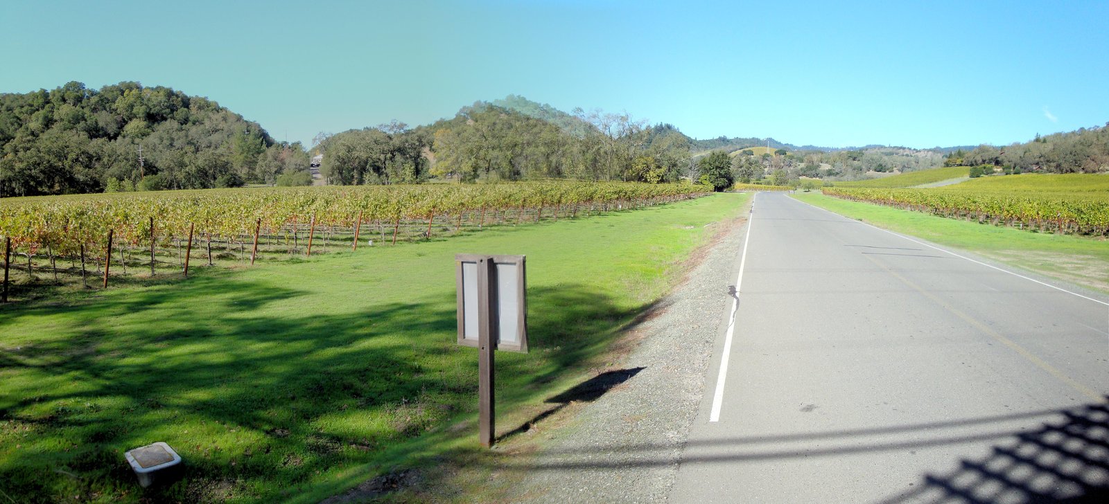 Wide Napa Valley vineyard panorama from the valley floor