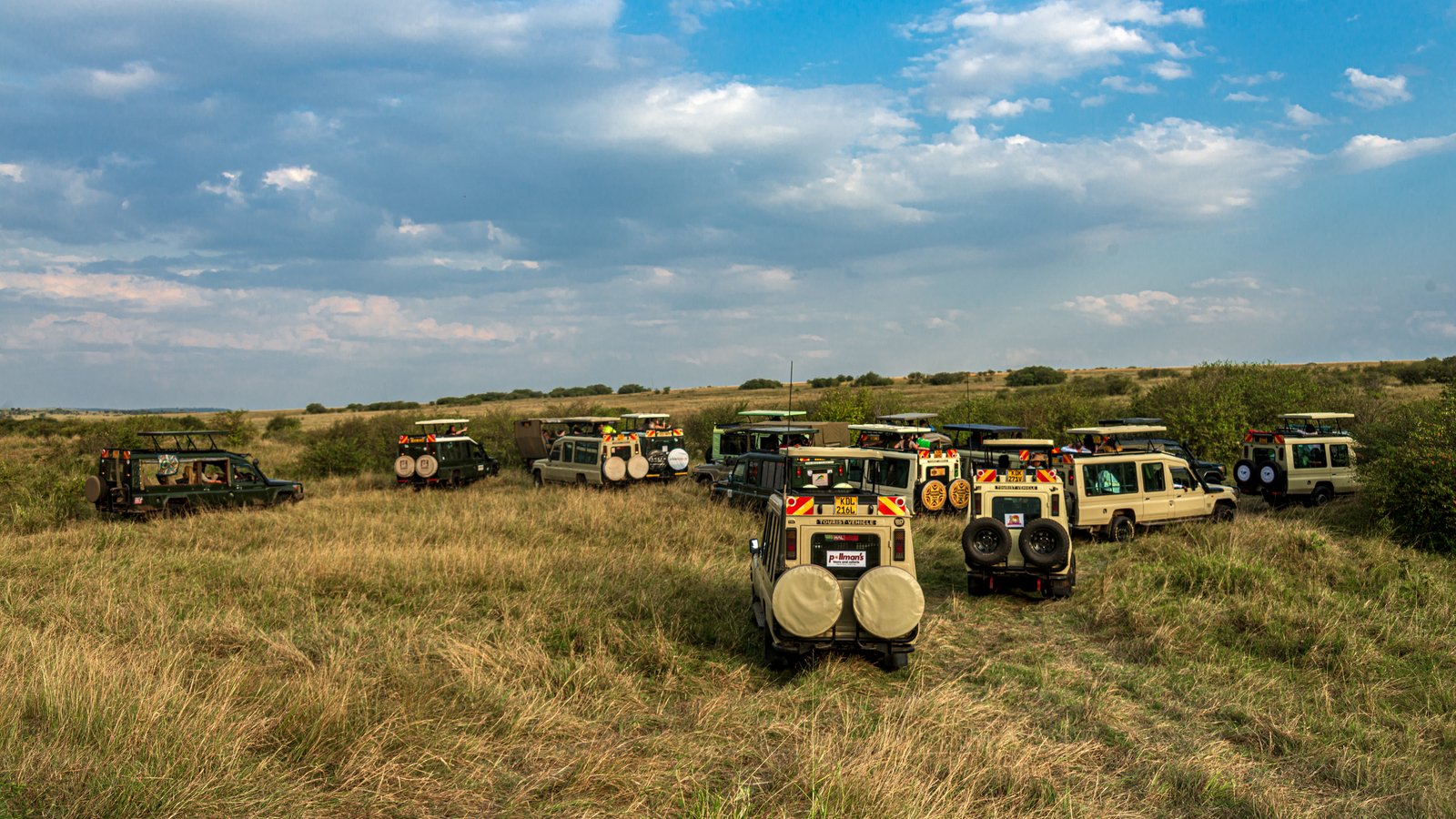 Safari vehicles in Maasai Mara National Reserve, Kenya