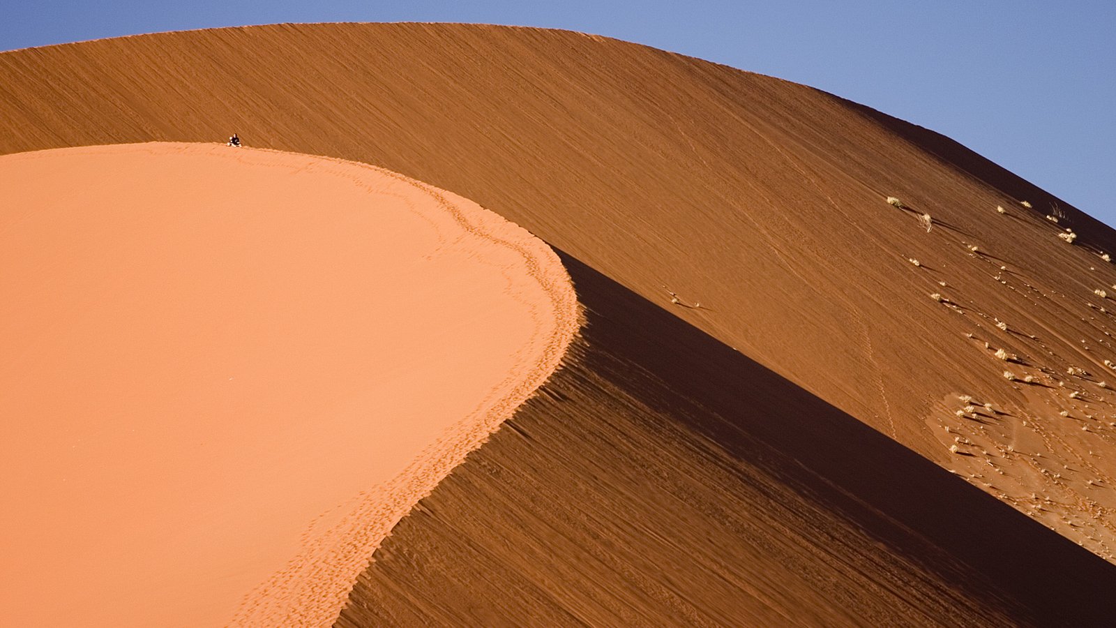 Sossusvlei dune in the Namib desert, Namibia