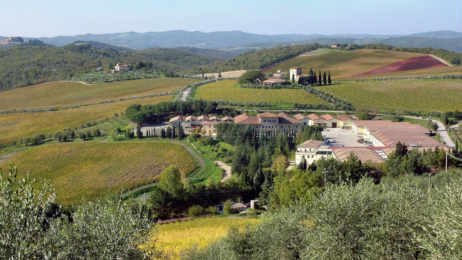 Chianti region vineyard and winery in Tuscany