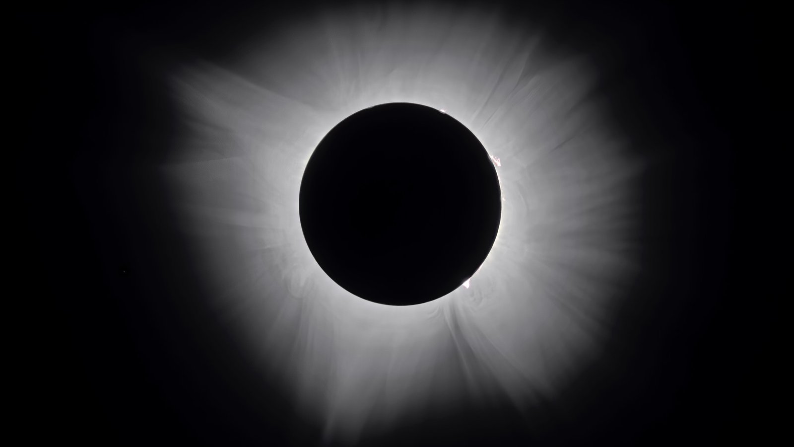 Total solar eclipse corona during the April 2024 total eclipse